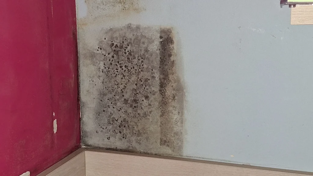 Moho por condensación en pared de fachada interior de una vivienda de alquiler